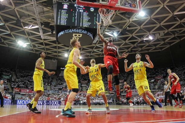 还有着丰富 还有着丰富